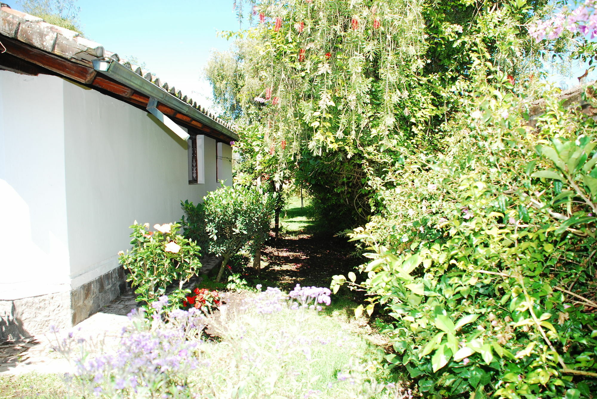 Hosteria Airport Garden Табабела Экстерьер фото